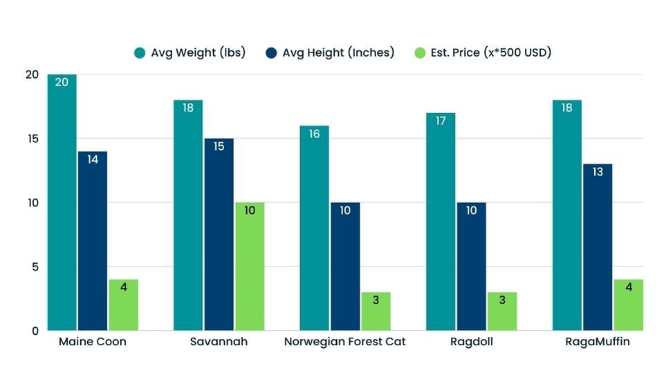 Comparison Chart of Top Cat Breeds by Size and Price