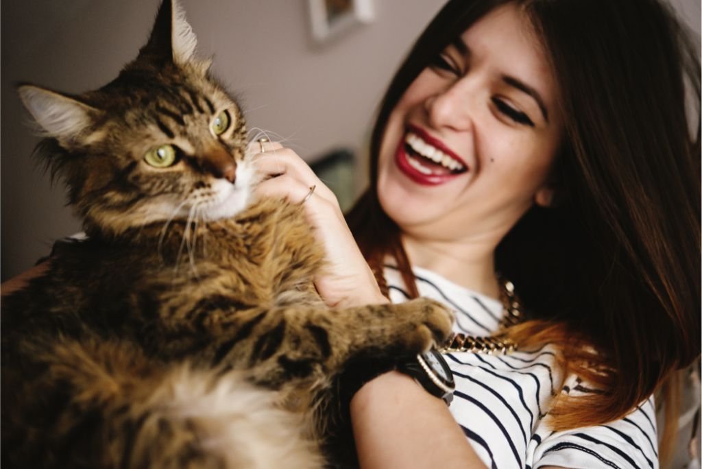 Maine Coon with Owner