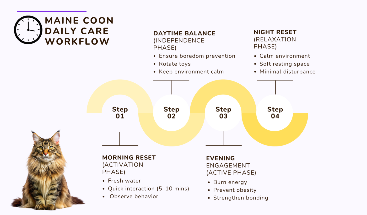 MAINE COON DAILY CARE WORKFLOW